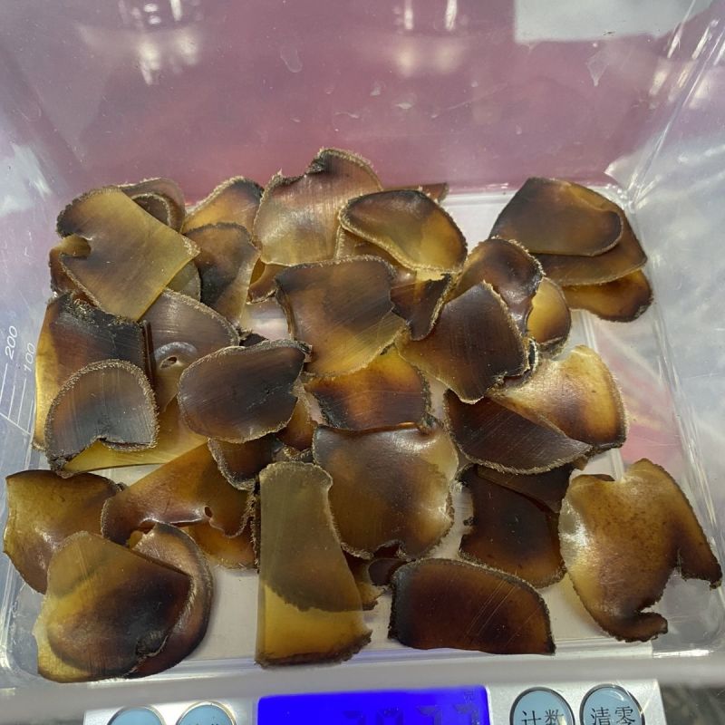 正品梅花鹿蜡片鹿茸片梅花鹿茸碎蜡片蜡片泡酒材料腊片