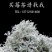 莓茶/藤茶
