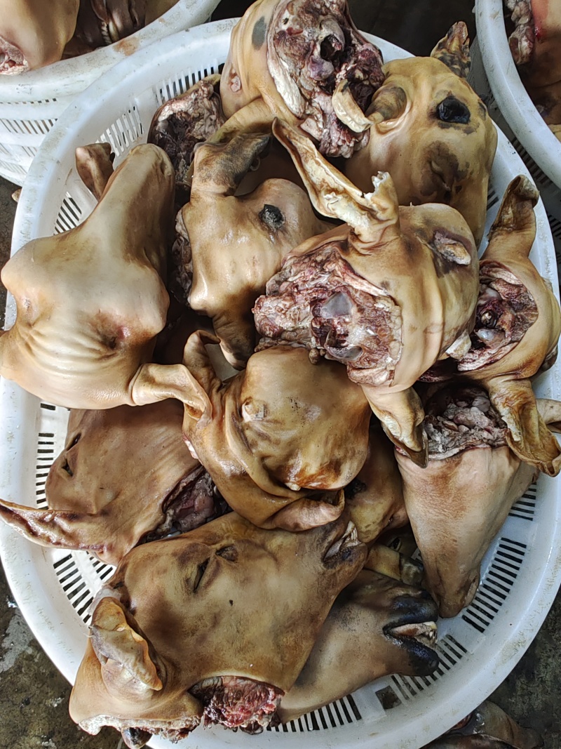 【羊头】当地绵羊的火燎水洗无碱，大羊羔羊白头花头都有！