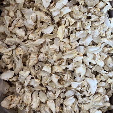 杏鲍菇根片干货供应