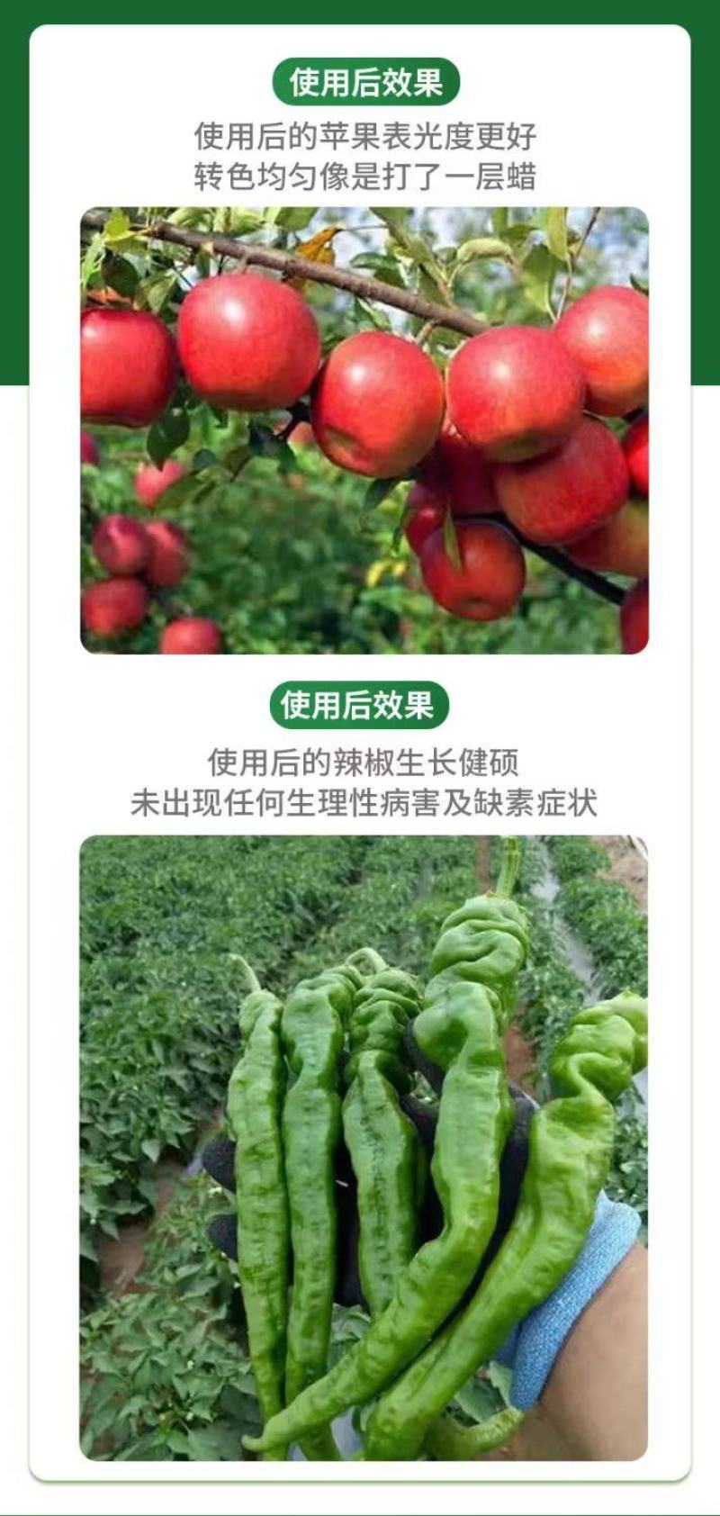 钙镁硼锌铁钼叶面肥中元素同补大果果树蔬菜通用防裂防缺素肥