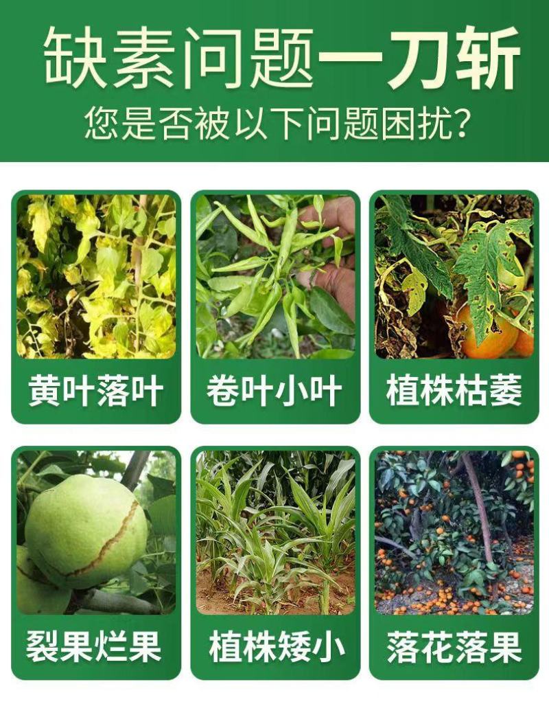 钙镁硼锌铁钼叶面肥中元素同补大果果树蔬菜通用防裂防缺素肥