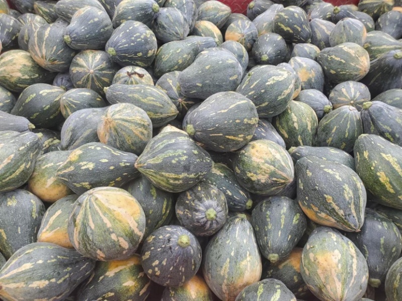 南瓜香芋南瓜新鲜量大一手货源支持视频看货