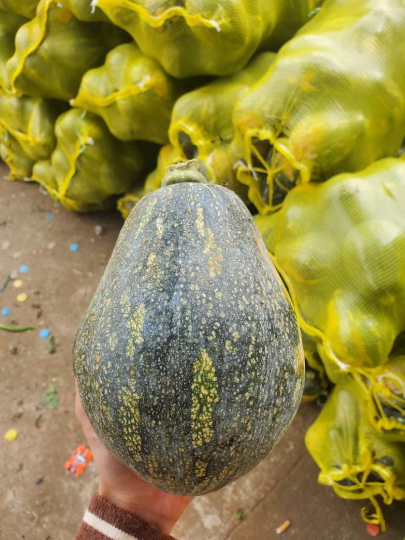 南瓜香芋南瓜新鲜量大一手货源支持视频看货
