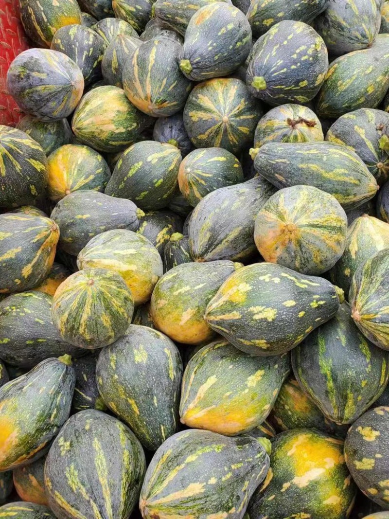 南瓜香芋南瓜新鲜量大一手货源支持视频看货