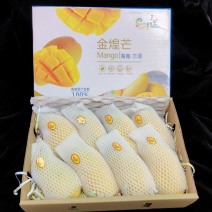 广西金芒果/水仙芒，一件代发，电商礼盒装5/8斤