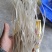 红薯粉手工制作红薯粉丝火锅商用土豆细粉丝条圈正宗麻辣烫类