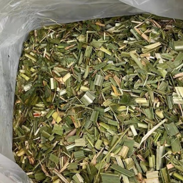 蔗尾玉米杆槡树杆青储料