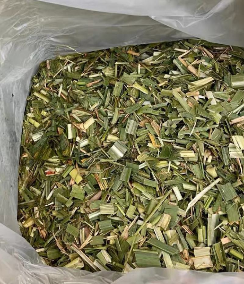 蔗尾玉米杆槡树杆青储料