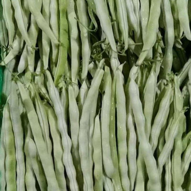 莒南县高良果蔬专业合作社