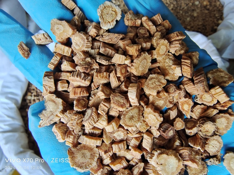 防风内蒙籽播含量高散装各种规格选货量大从优