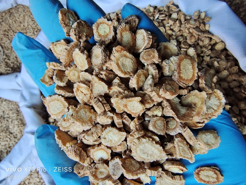 防风内蒙籽播含量高散装各种规格选货量大从优