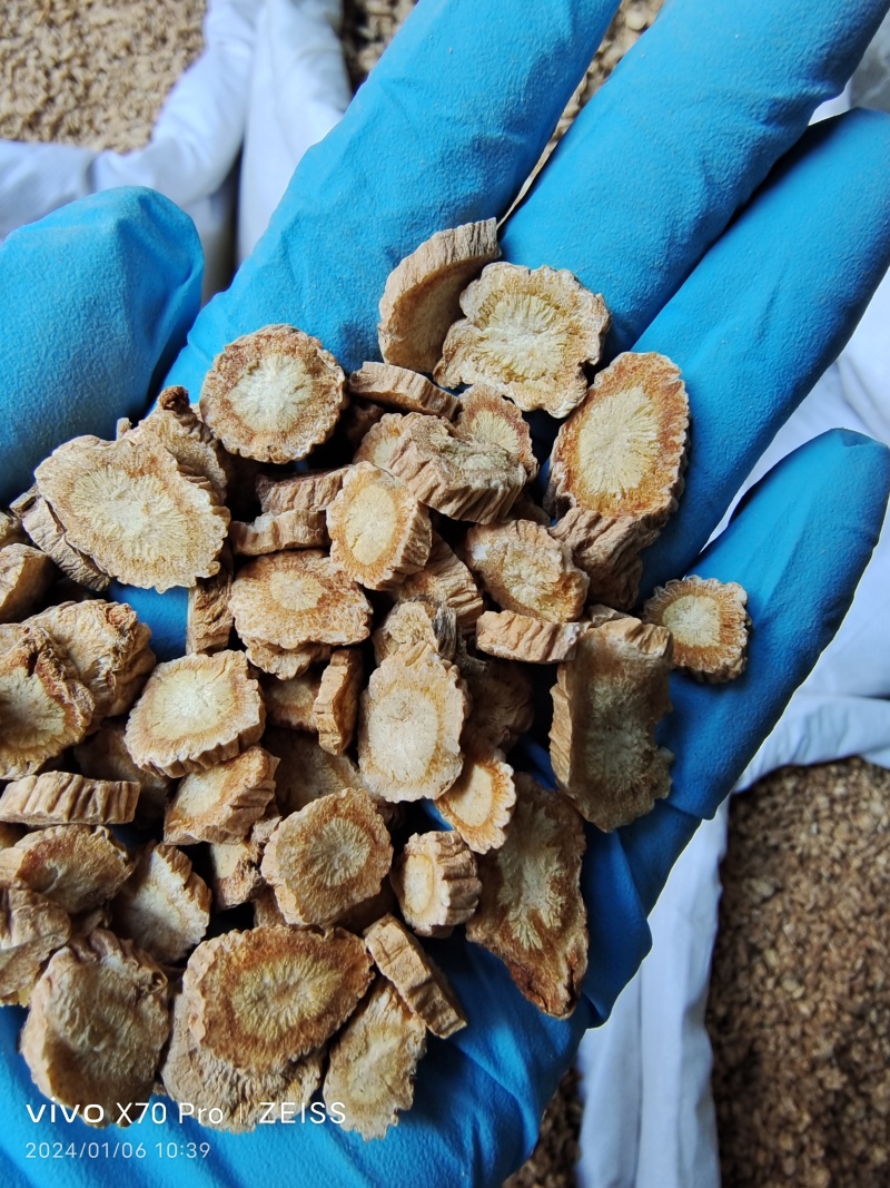 防风内蒙籽播含量高散装各种规格选货量大从优