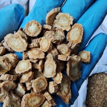 防风内蒙籽播含量高散装各种规格选货量大从优