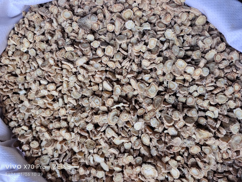 防风内蒙籽播含量高散装各种规格选货量大从优