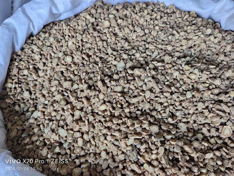 防风内蒙籽播含量高散装各种规格选货量大从优