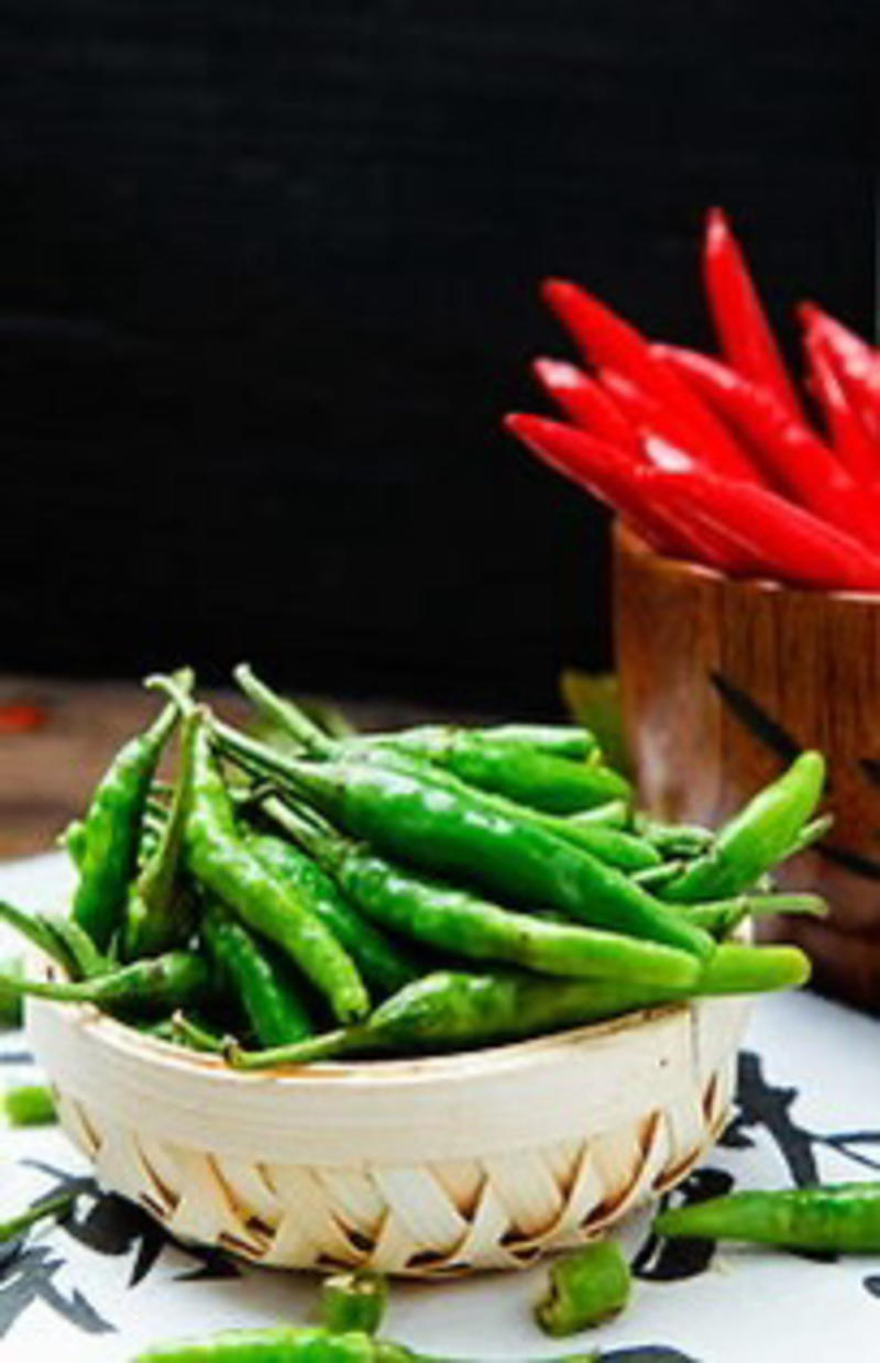 海南精品青小米椒，品质保证自家种植欢迎视频选货