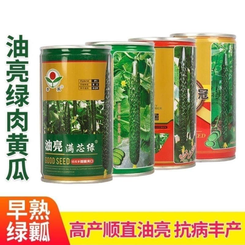 油亮满芯绿黄瓜种籽基地黄瓜种子油亮型绿肉抗病高产顺直蔬菜