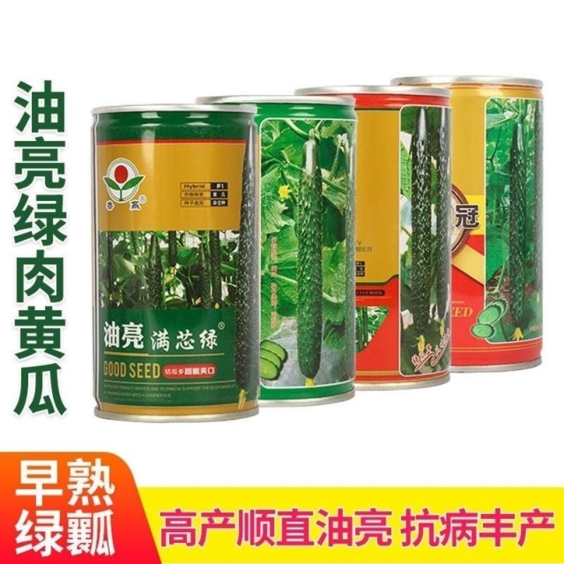 油亮满芯绿黄瓜种籽基地黄瓜种子油亮型绿肉抗病高产顺直蔬菜