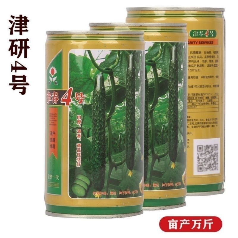 油亮满芯绿黄瓜种籽基地黄瓜种子油亮型绿肉抗病高产顺直蔬菜