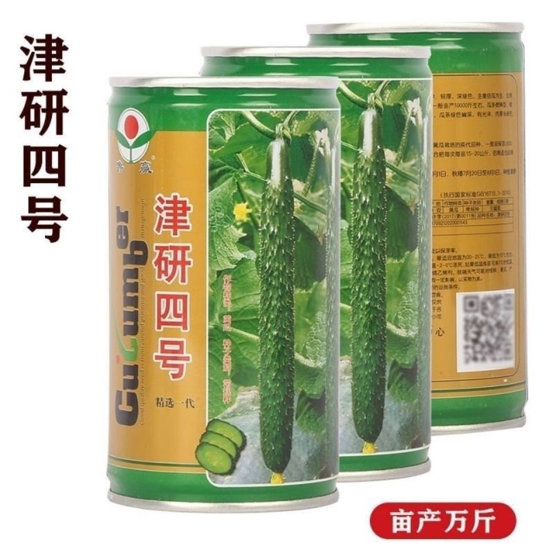 油亮满芯绿黄瓜种籽基地黄瓜种子油亮型绿肉抗病高产顺直蔬菜