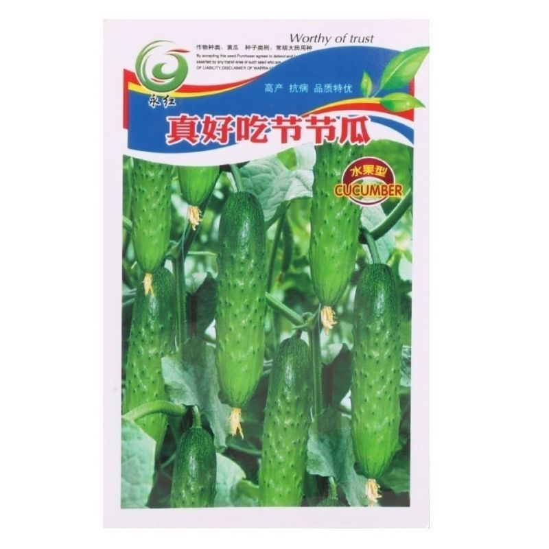 油亮满芯绿黄瓜种籽基地黄瓜种子油亮型绿肉抗病高产顺直蔬菜