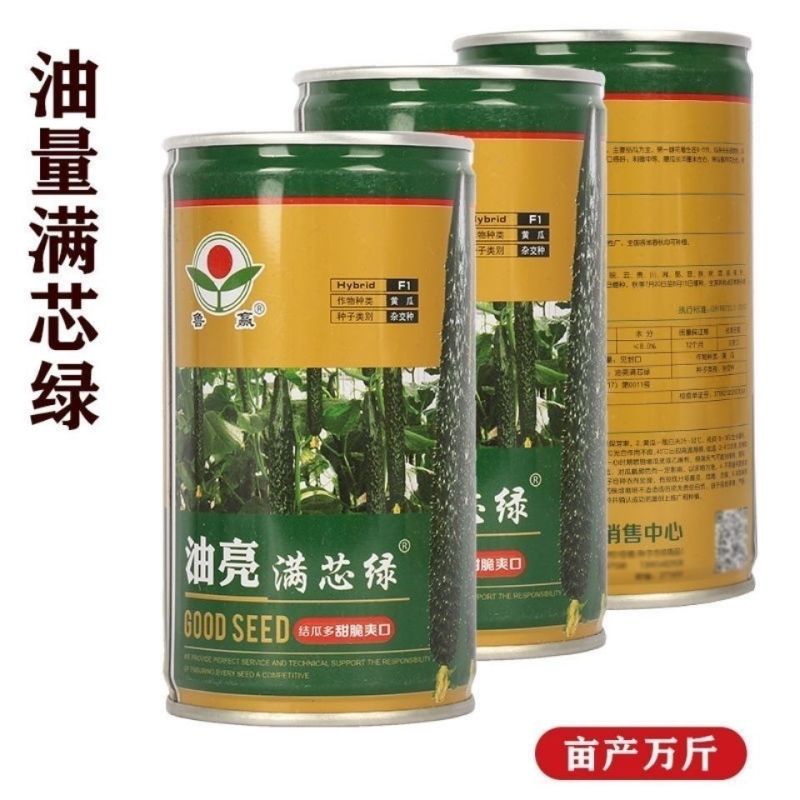 油亮满芯绿黄瓜种籽基地黄瓜种子油亮型绿肉抗病高产顺直蔬菜
