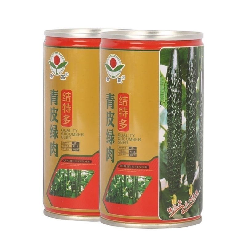 油亮满芯绿黄瓜种籽基地黄瓜种子油亮型绿肉抗病高产顺直蔬菜