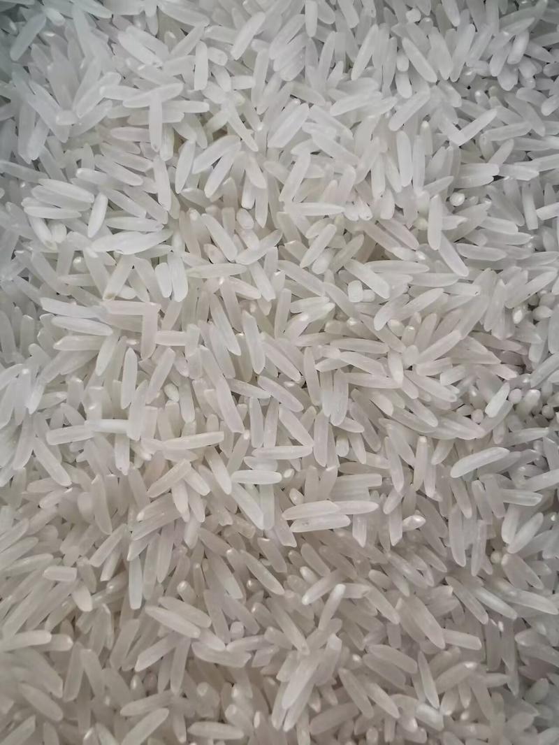 精品十九香丝米香米产地直发品质保证量大从优欢迎联系