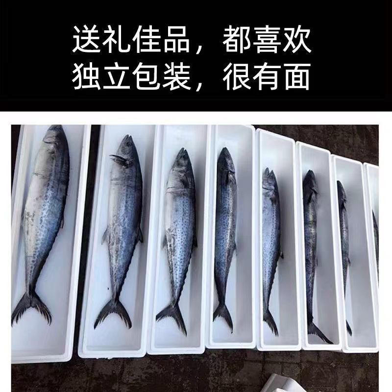 【活动】鲅鱼新鲜特大马鲛鱼鲜活冷冻鲜鲅鱼海鱼冰鲜水产