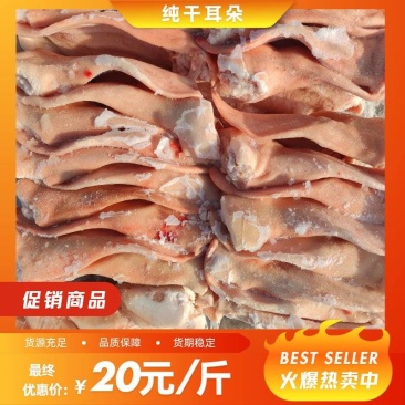 东北精品肥猪耳朵，纯干，耳根小，仓储直发，保质保量