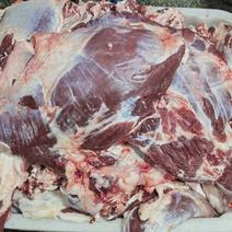 大量批发及零售贵州本地黄牛牛肉，西门塔尔牛肉