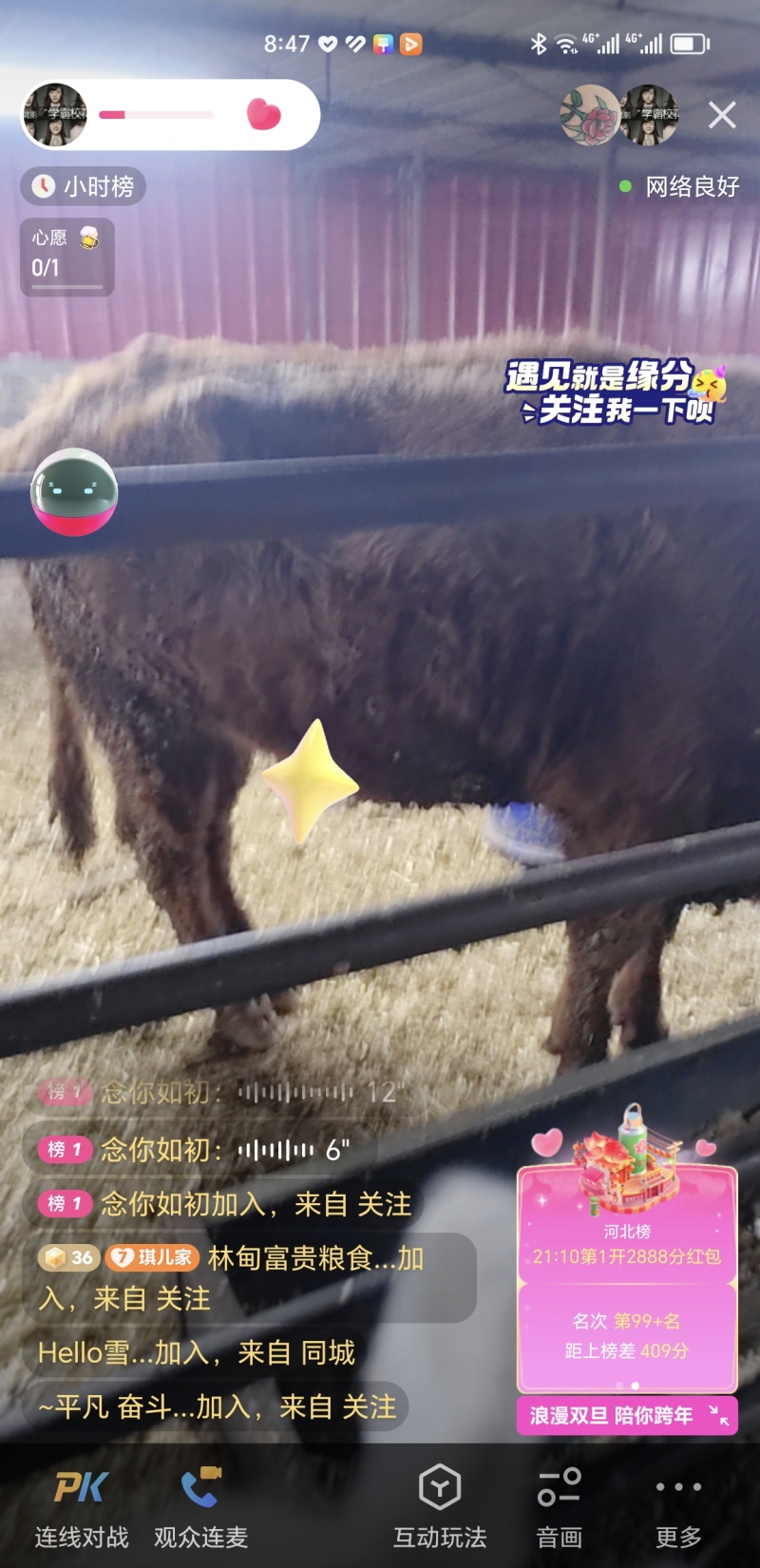 活牛