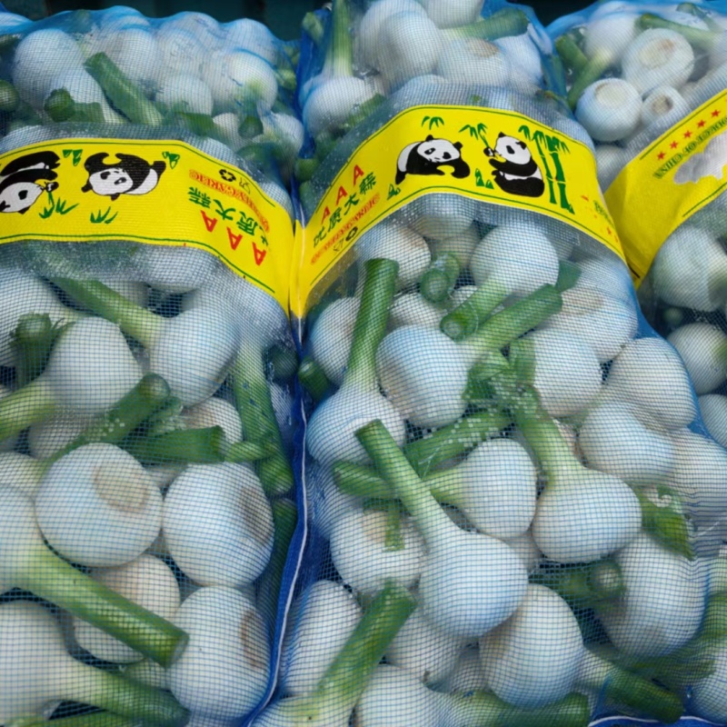 白皮鲜蒜电商代发全平台一件代发欢迎与电商老板合作常年有货