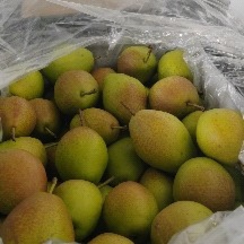 红香酥梨/皮薄汁水多核小，自然成熟，礼盒香梨香梨欢迎咨询