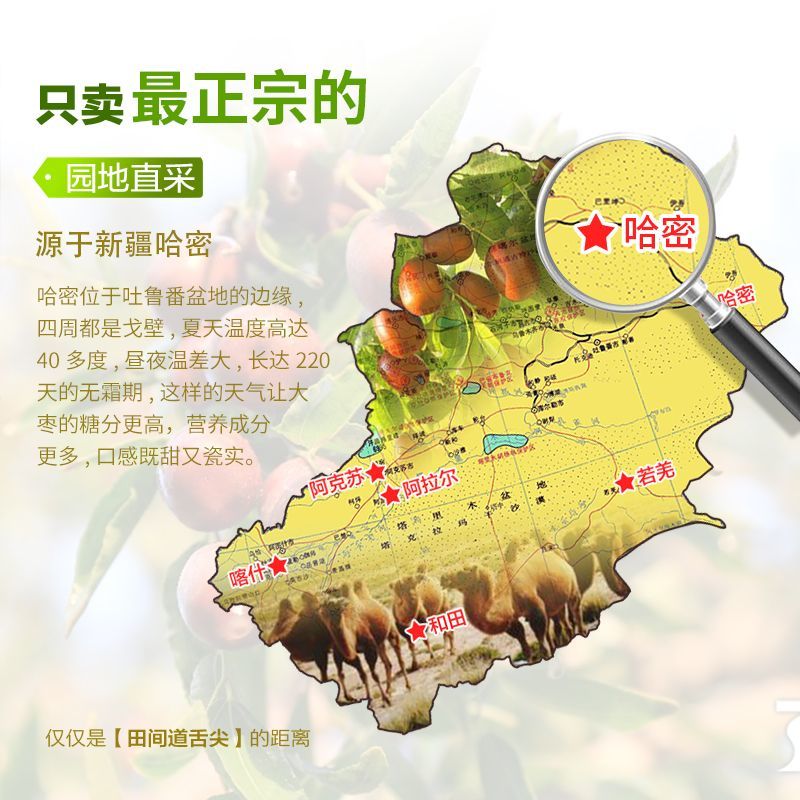 新疆哈密大枣，五堡大枣，大量发售，自有清洗加工厂