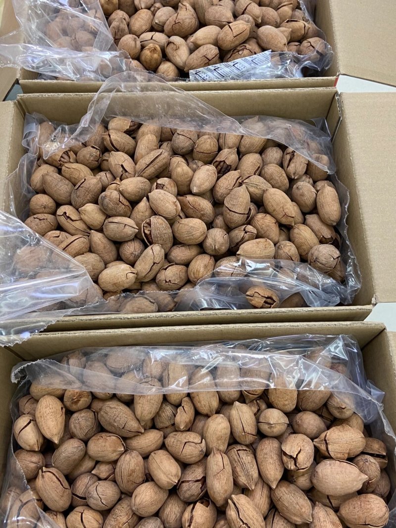 新货碧根果批发10斤一整箱250g原味独立小包装奶油味坚