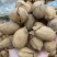 新货碧根果批发10斤一整箱250g原味独立小包装奶油味坚