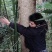四川小叶桢楠