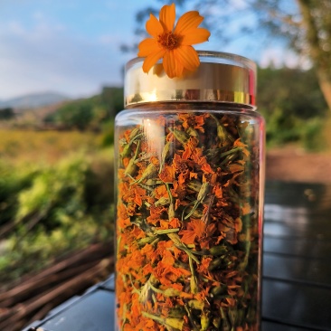 芳香万寿菊茶
