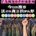 虾苗批发罗氏虾苗罗氏沼虾苗淡水养殖虾包签合同回收