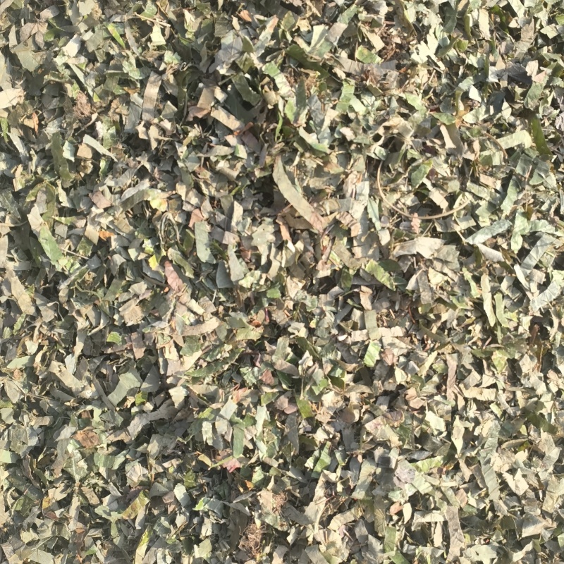 仙灵脾今年新货实图拍摄物美价廉欢迎选购