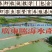 虾苗批发罗氏虾苗罗氏沼虾苗淡水养殖虾包签合同回收