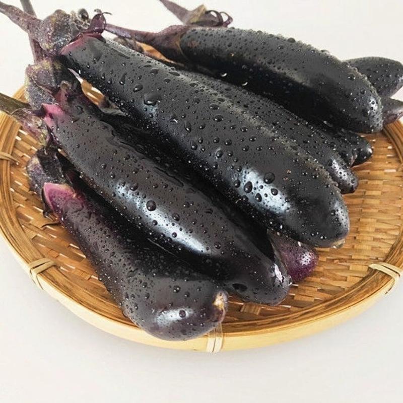 【精品长茄】广东湛江徐闻，紫长茄子，质量保证，颜色鲜艳