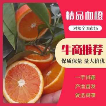 血橙，玫瑰香橙。万亩基地直供一手货源！欢迎老板对接！