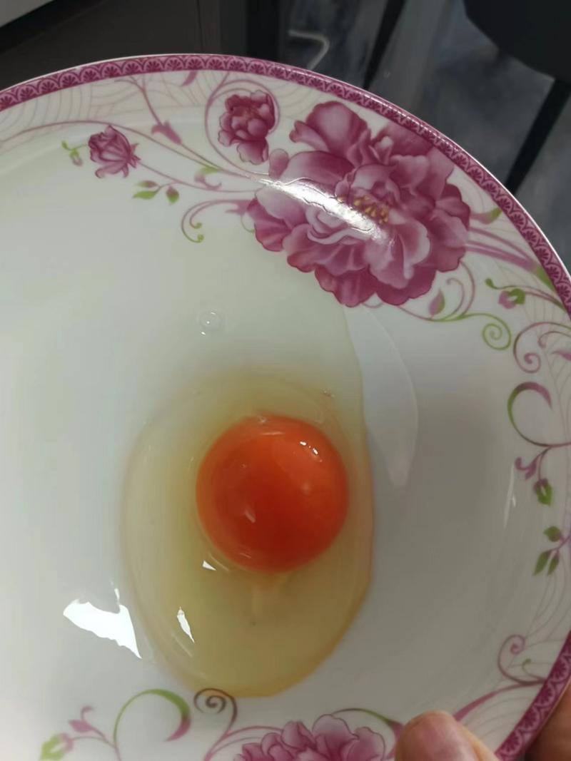 自家养殖的土鸡蛋一件可发只对接苏州吴江