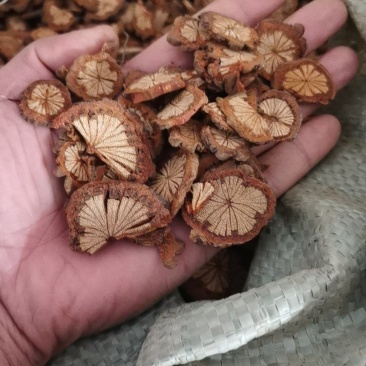 红藤大血藤红藤批发大血藤批发