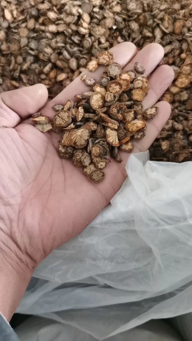 红藤大血藤红藤批发大血藤批发