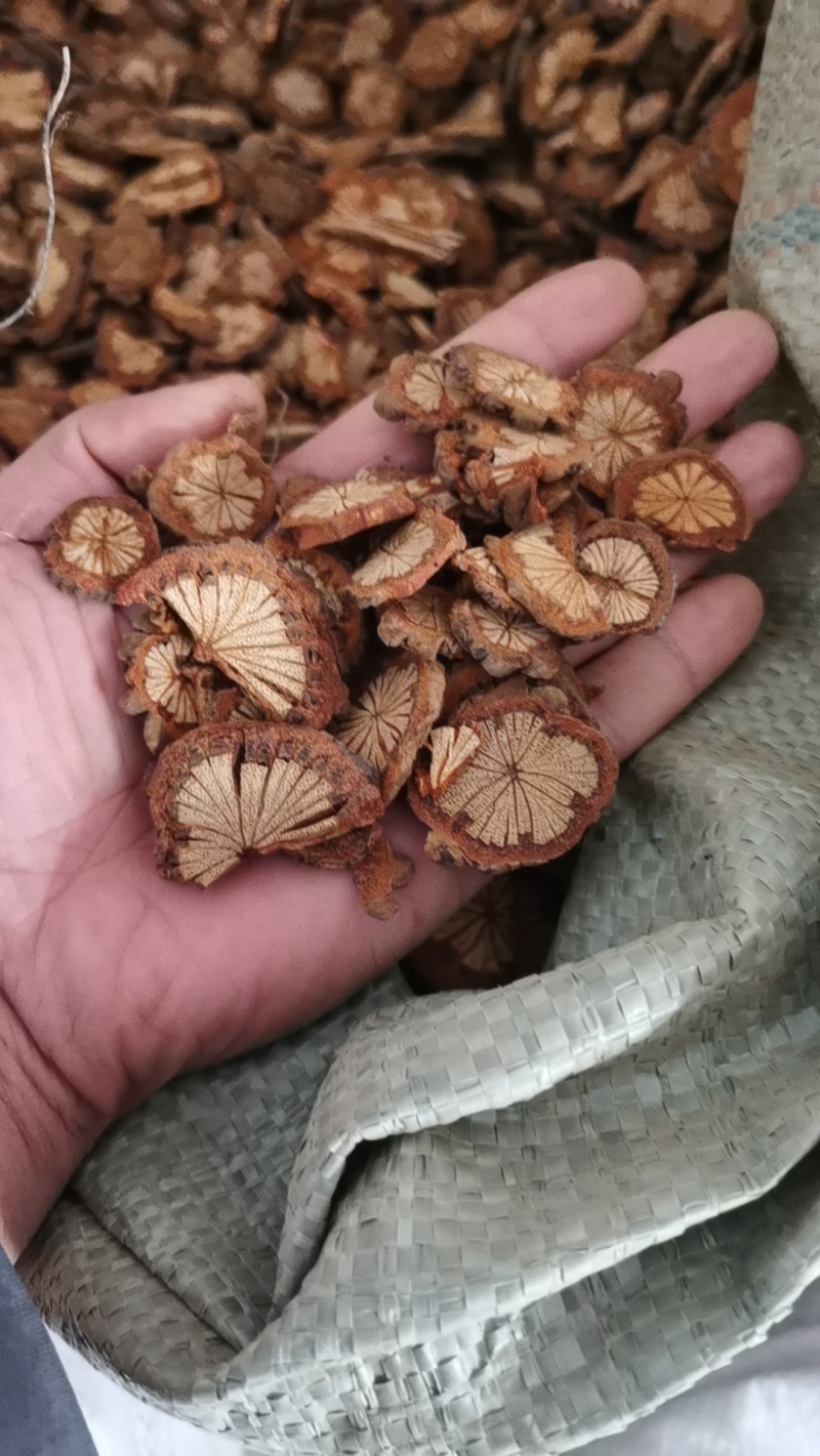 红藤大血藤红藤批发大血藤批发