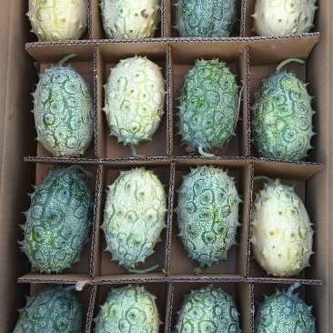 火参果